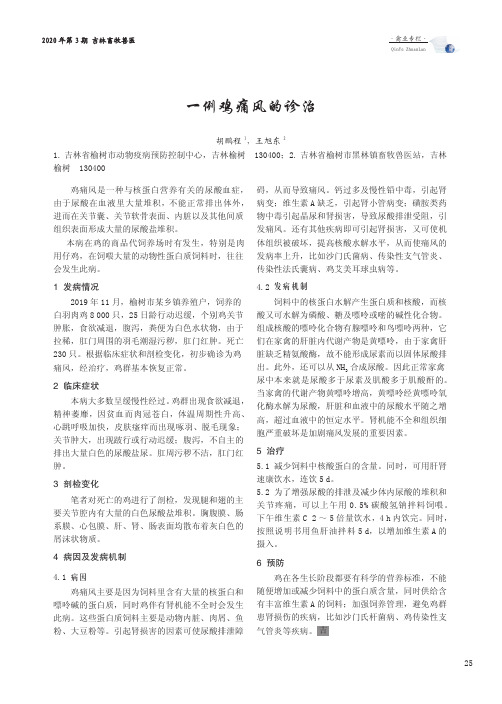 一例鸡痛风的诊治