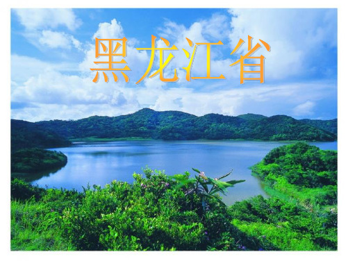 2019黑龙江省(龙东地区乡土地理)PPT