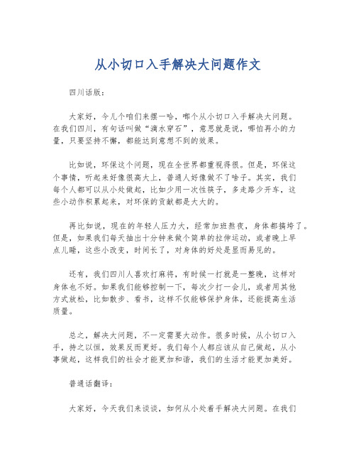 从小切口入手解决大问题作文