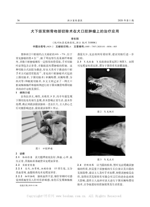 犬下颌双侧骨吻部切除术在犬口腔肿瘤上的治疗应用