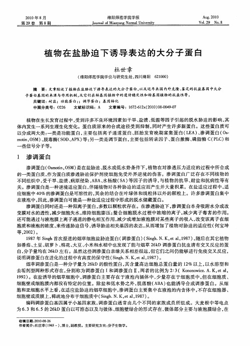 植物在盐胁迫下诱导表达的大分子蛋白