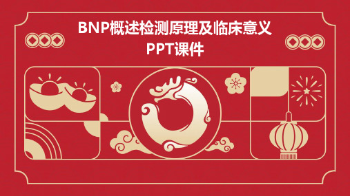 BNP概述检测原理及临床意义ppt课件