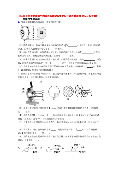 七年级上册生物潍坊生物非选择题实验探究综合试卷测试题(Word版含解析)