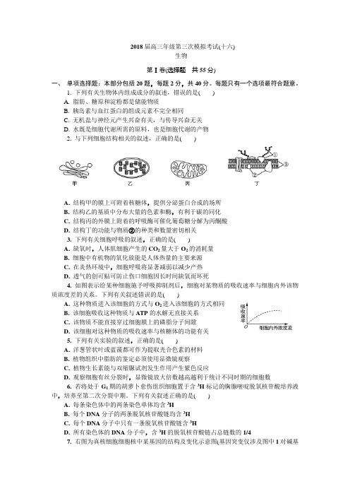 盐城市三模(十六)生物