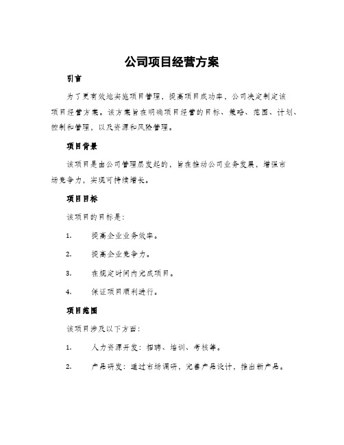 公司项目经营方案