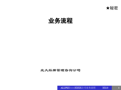 某咨询管理咨询公司业务流程报告