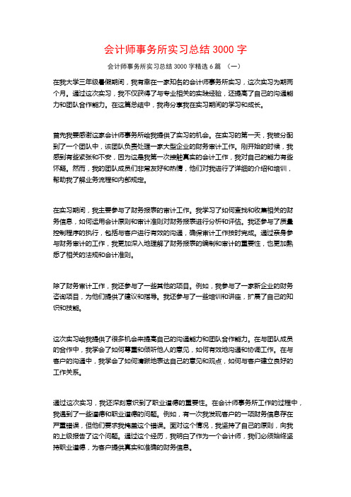 会计师事务所实习总结3000字6篇