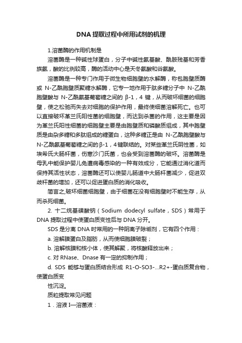 DNA提取过程中所用试剂的机理