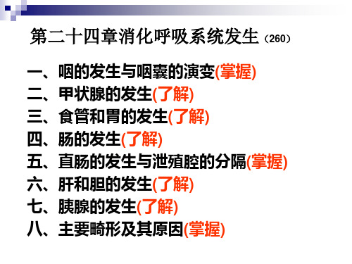 组织学与胚胎学：第二十四章 消化呼吸系统发生