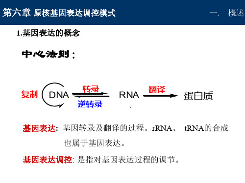 第六章 原核基因表达调控