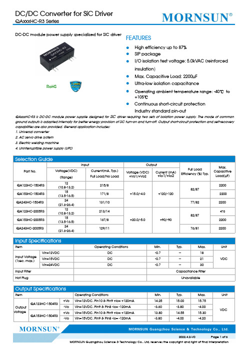 莱士曼新能源科技有限公司DC DC转换器产品说明书