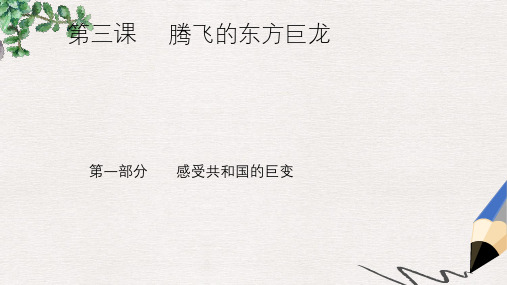 九年级政治全册 第二单元 五星红旗我为你骄傲 第三课 腾飞的东方巨龙 第一框感受共和国的巨变课件 鲁教版