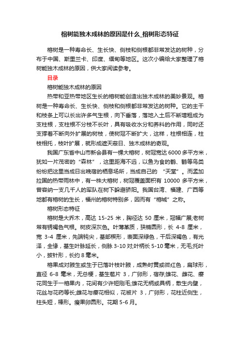 榕树能独木成林的原因是什么_榕树形态特征