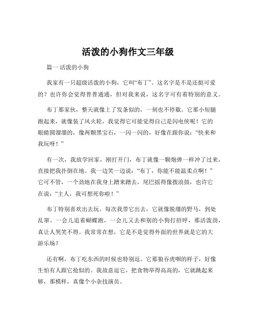 活泼的小狗作文三年级