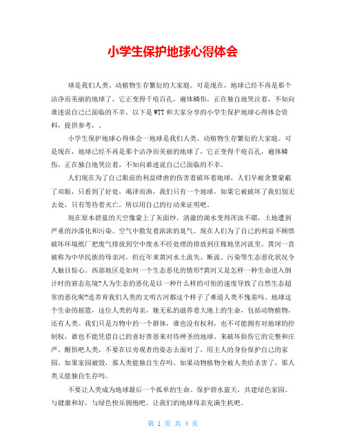 小学生保护地球心得体会
