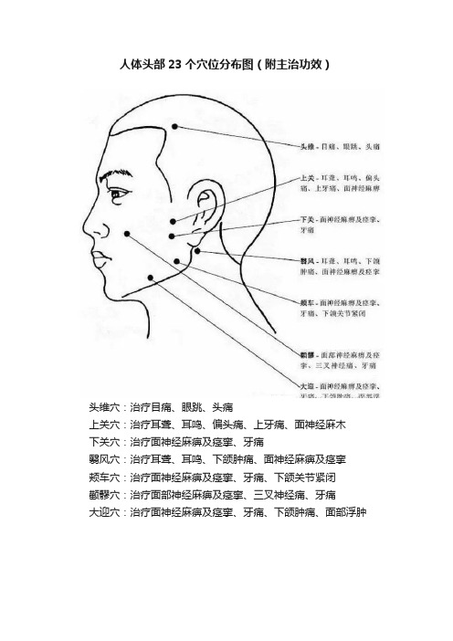 人体头部23个穴位分布图（附主治功效）