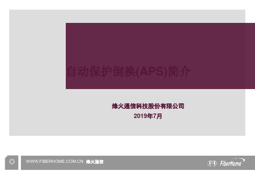 自动保护倒换(APS)简介 36页PPT文档