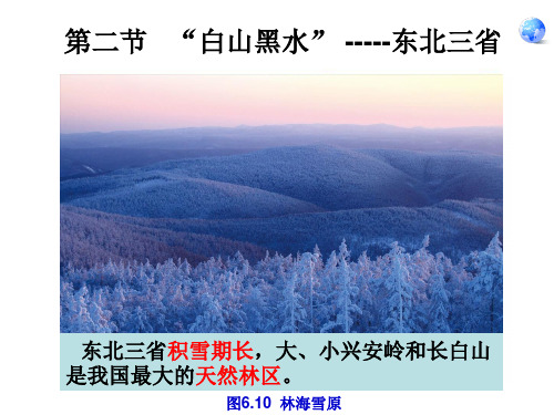 八年级地理人教版下册课件：6-2“白山黑水”——东北三省(共30张PPT)