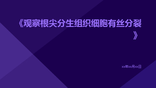 观察根尖分生组织细胞有丝分裂