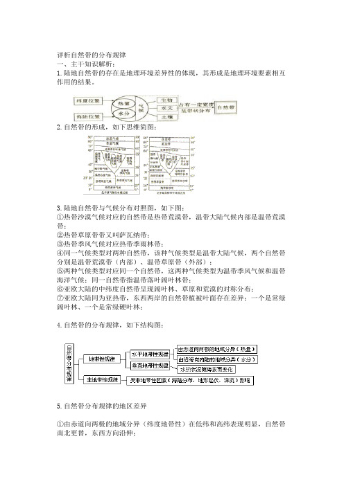 详析自然带的分布规律