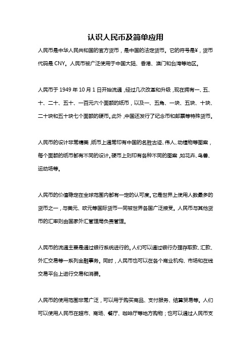 认识人民币及简单应用