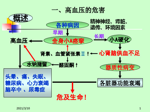 第18章  抗高血压药的临床用药_PPT幻灯片