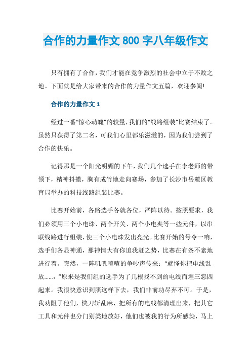 合作的力量作文800字八年级作文