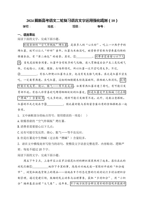 2024届新高考语文二轮复习语言文字运用强化精测(10)(含解析)