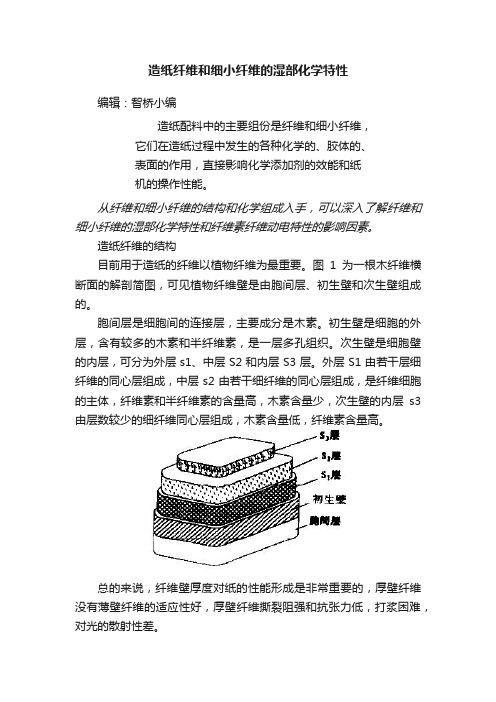 造纸纤维和细小纤维的湿部化学特性