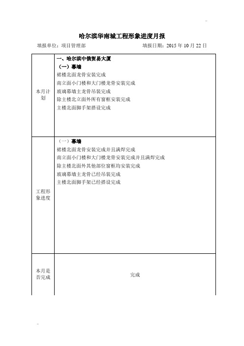 《形象进度月报》word版