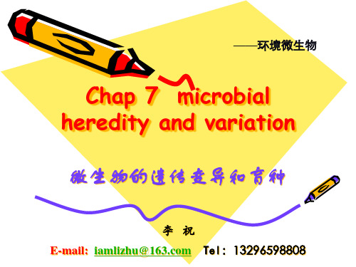 7第七章微生物的遗传和变异TO 学生