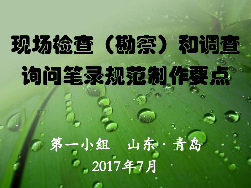 现场检查(勘察)和调查询问笔录规范制作要点(青岛2017年7月)第一组