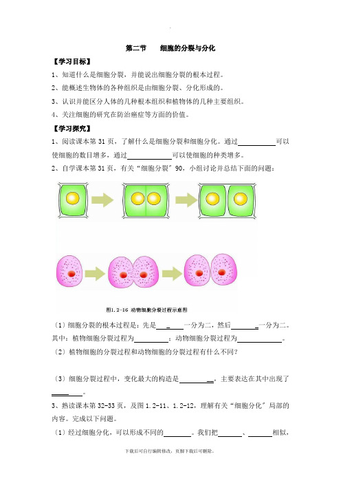 济南版生物七年级上册 1.2.2《细胞的分裂与分化》导学案1