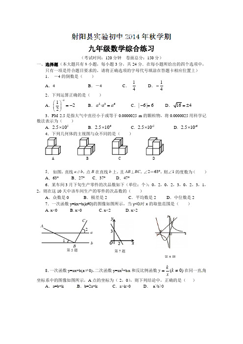 江苏省盐城市射阳县实验初级中学2015届九年级上第三次综合练习数学试题及答案