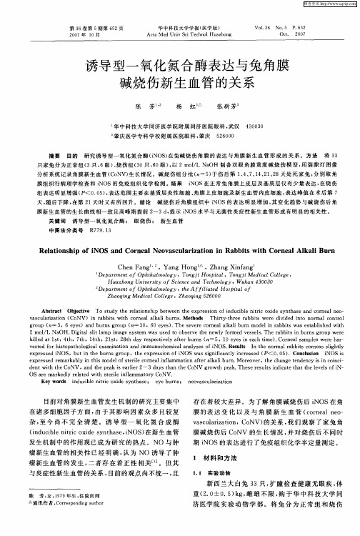 诱导型一氧化氮合酶表达与兔角膜碱烧伤新生血管的关系