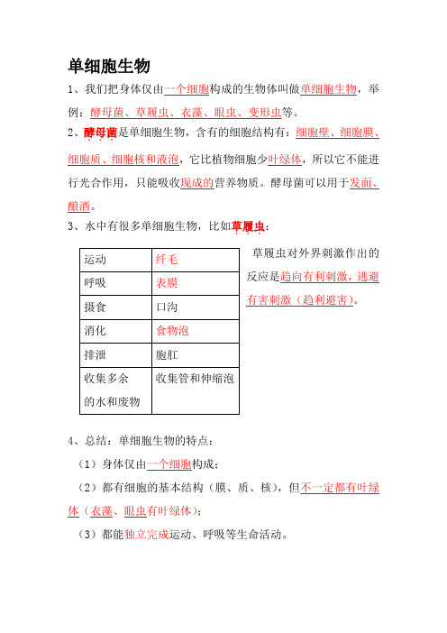 单细胞生物知识点