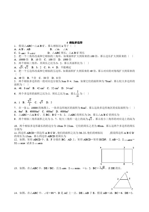 2022年北师大版九上《相似多边形2》同步练习(附答案)