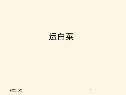 最新北师版小学三年级上册数学精品课件三加与减-第二课时 运白菜