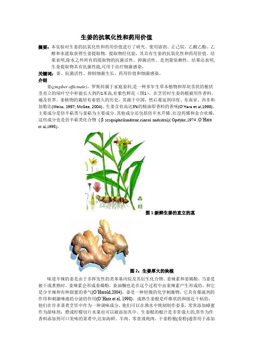 生姜的抗氧化性和药用价值(译文) 终版