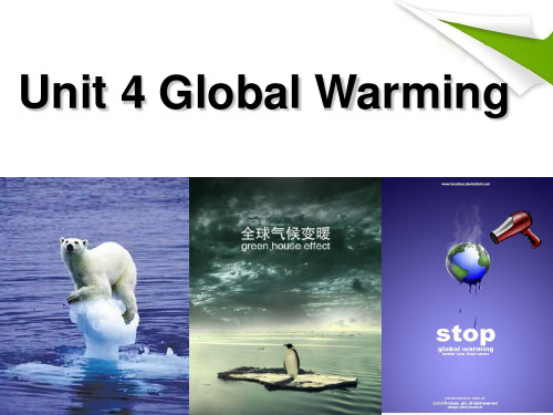 Book6 Unit4 Global Warming (Reading) 精品课件