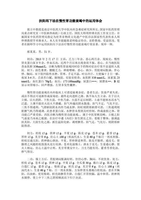 扶阳泻下法在慢性肾功能衰竭中的运用体会