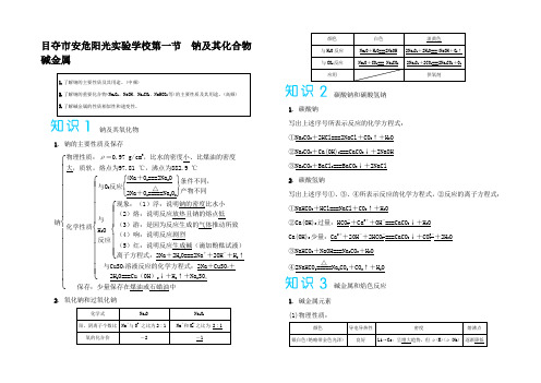 高考化学讲义钠及其化合物 碱金属(含解析)