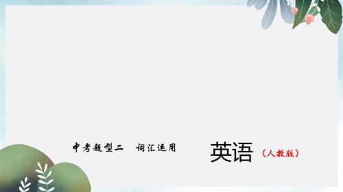 中考精英总复习英语(人教版)习题课件:第二轮+中考题型+题型二 词汇运用