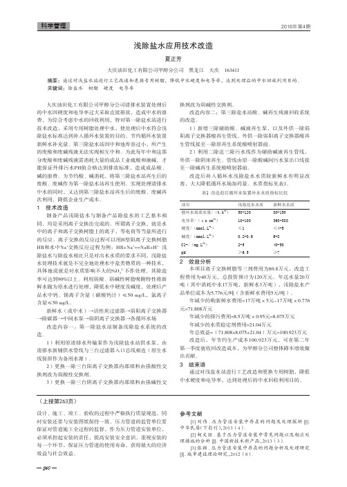 浅除盐水应用技术改造