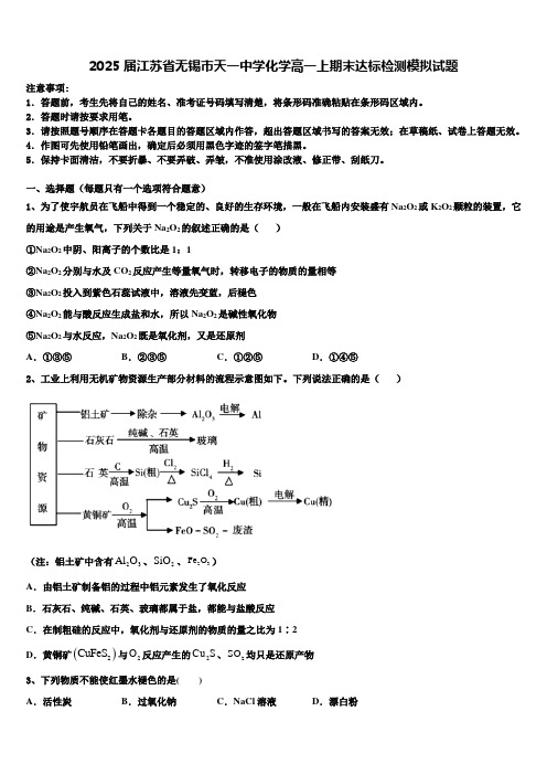 2025届江苏省无锡市天一中学化学高一上期末达标检测模拟试题含解析