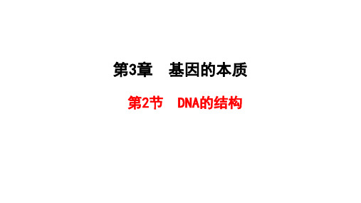 (新教材)2020-2021学年高中人教版生物必修第二册课件：3.2DNA的结构