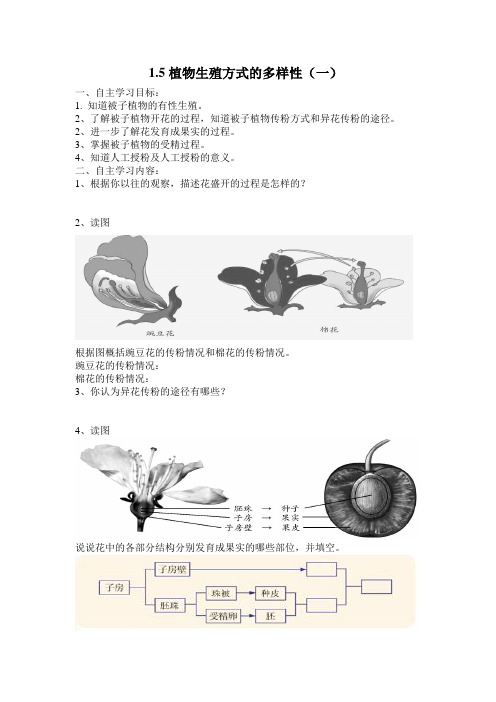 1.5植物生殖方式的多样性(2个课时导学案)