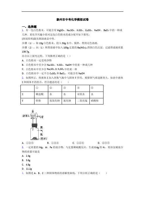 泰州市中考化学模拟试卷