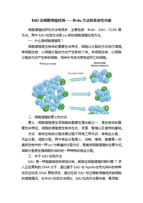 EdU法细胞增殖检测——Brdu方法的革命性突破