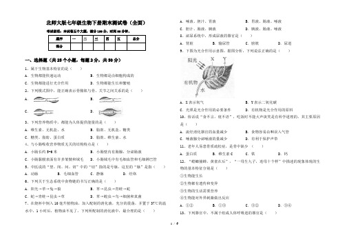 北师大版七年级生物下册期末测试卷(全面)